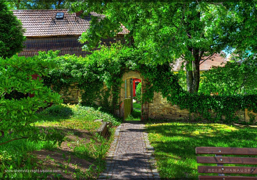 Sommergarten in der Nähe von Dresden 2017.jpg